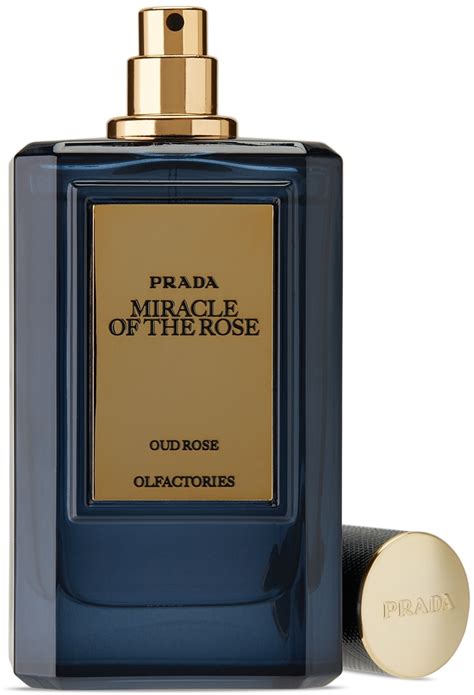 prada miracle of the rose